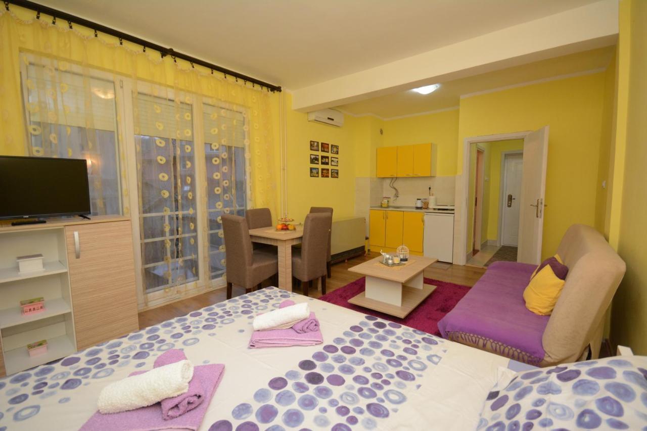 Apartment Sladja Vrnjacka Banja
