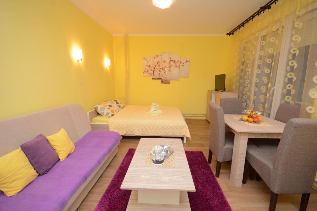 Sladja Apartment Vrnjacka Banja